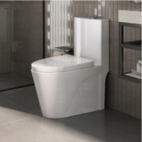 Vaso Sanitário Monobloco Caixa Acoplada Completo - Privada Cor Branco